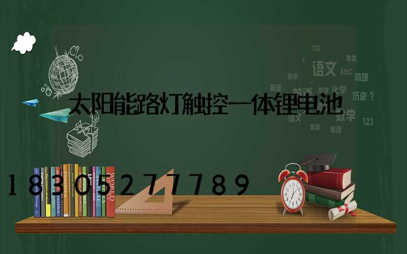 太阳能路灯触控一体锂电池