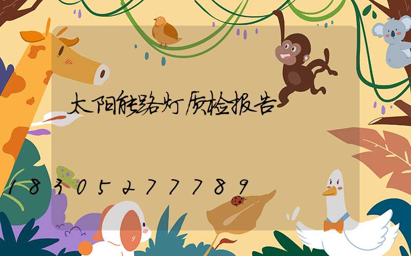 太阳能路灯质检报告