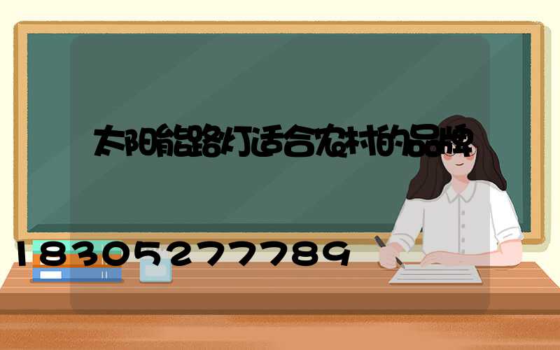 太阳能路灯适合农村的品牌