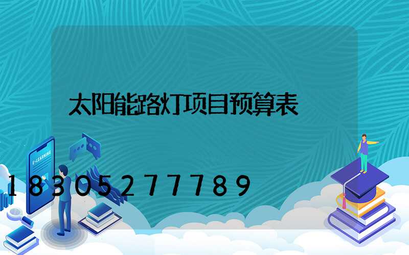 太阳能路灯项目预算表