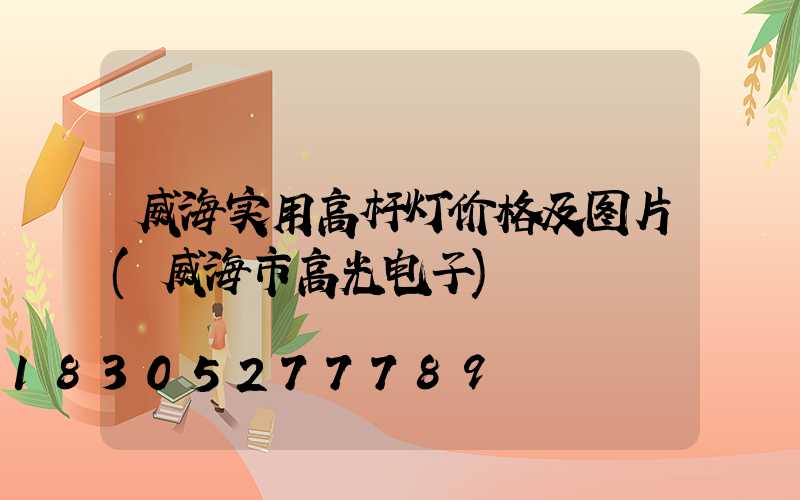 威海实用高杆灯价格及图片(威海市高光电子)