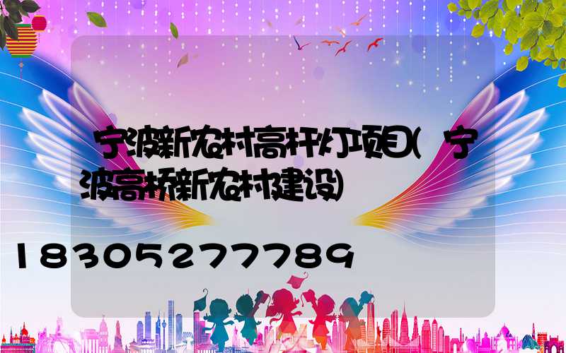 宁波新农村高杆灯项目(宁波高桥新农村建设)