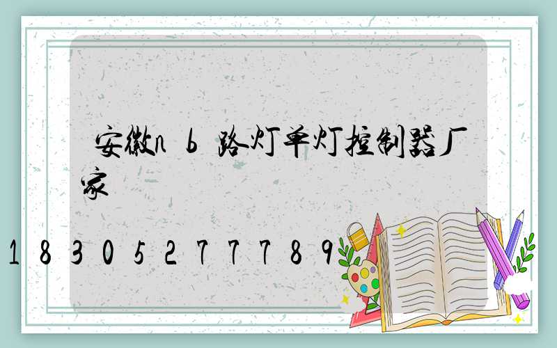 安徽nb路灯单灯控制器厂家