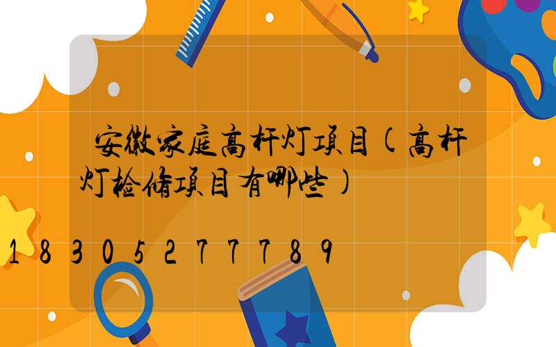 安徽家庭高杆灯项目(高杆灯检修项目有哪些)
