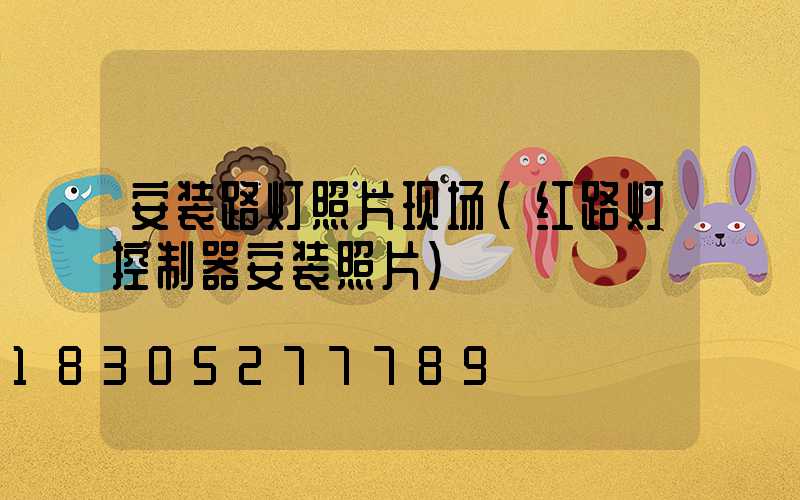 安装路灯照片现场(红路灯控制器安装照片)