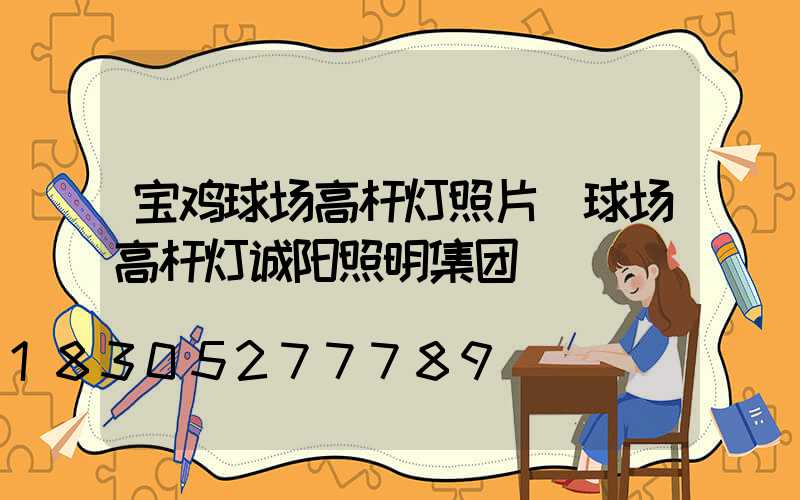 宝鸡球场高杆灯照片(球场高杆灯诚阳照明集团)
