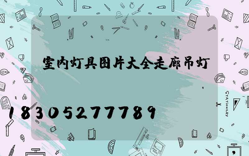 室内灯具图片大全走廊吊灯