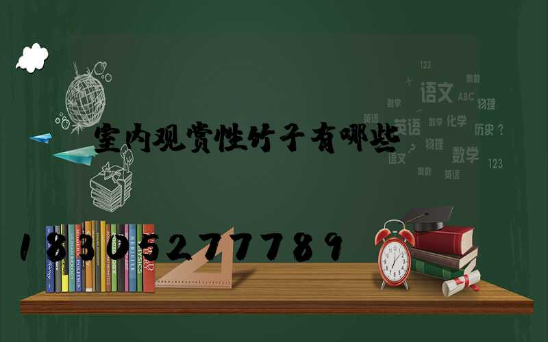 室内观赏性竹子有哪些