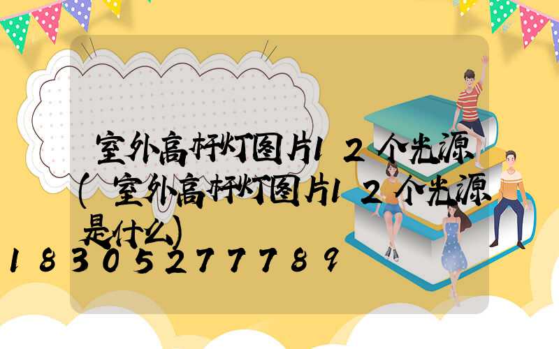 室外高杆灯图片12个光源(室外高杆灯图片12个光源是什么)