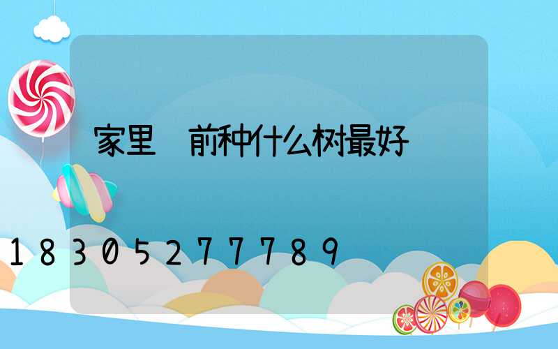 家里门前种什么树最好