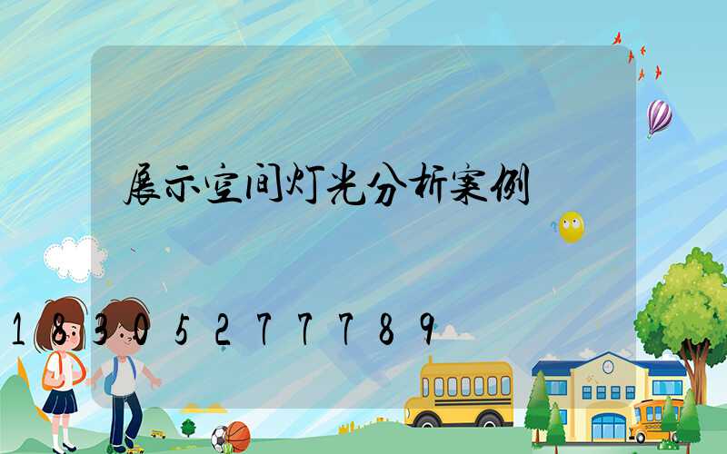 展示空间灯光分析案例