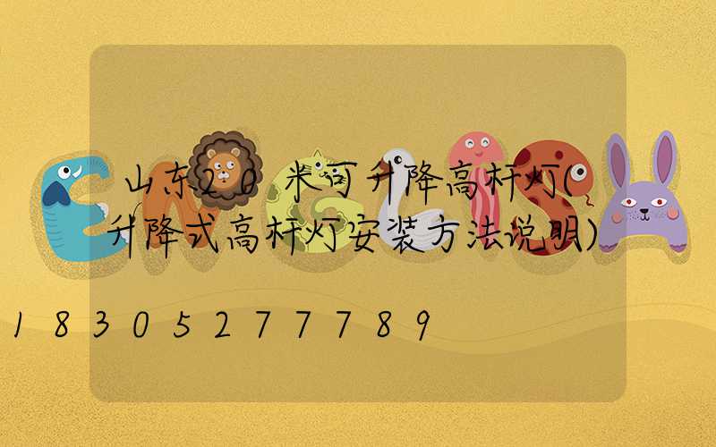 山东20米可升降高杆灯(升降式高杆灯安装方法说明)