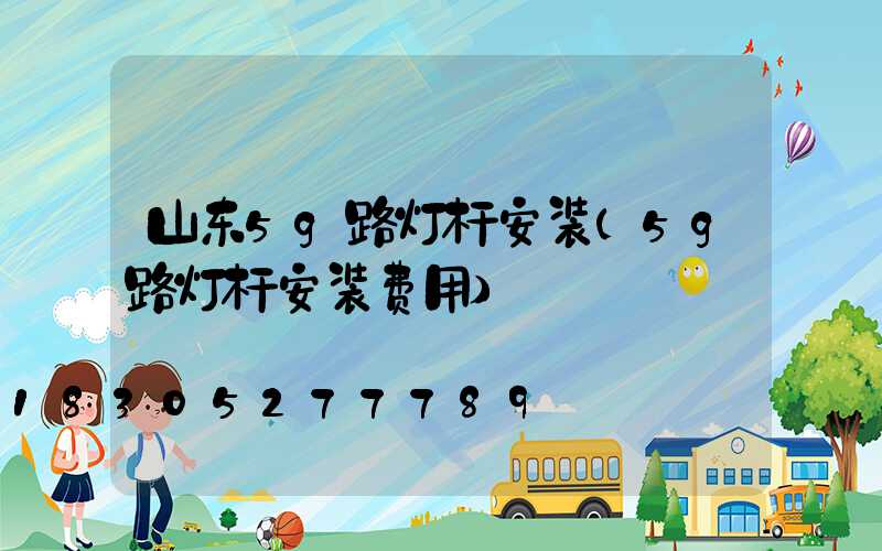 山东5g路灯杆安装(5g路灯杆安装费用)