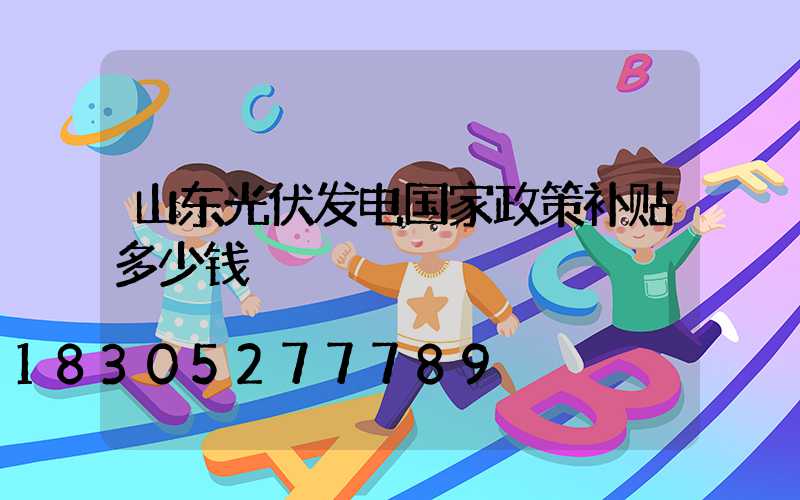 山东光伏发电国家政策补贴多少钱