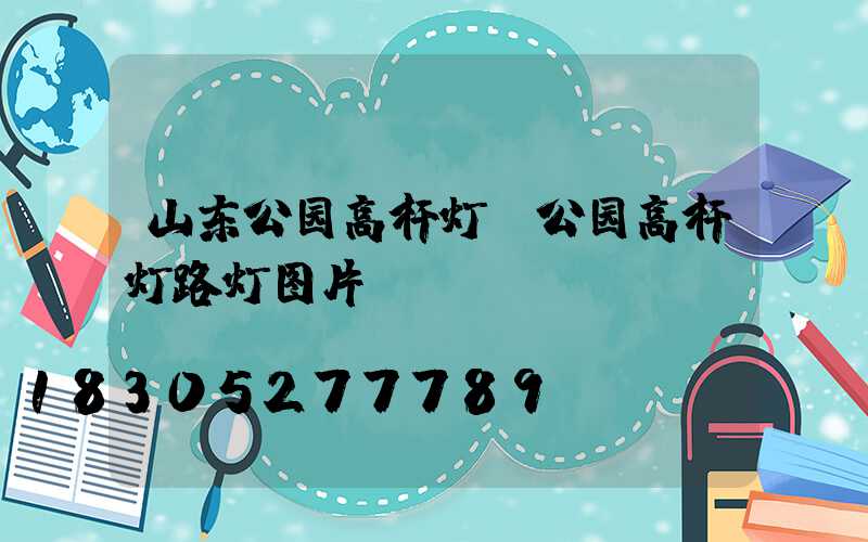 山东公园高杆灯(公园高杆灯路灯图片)
