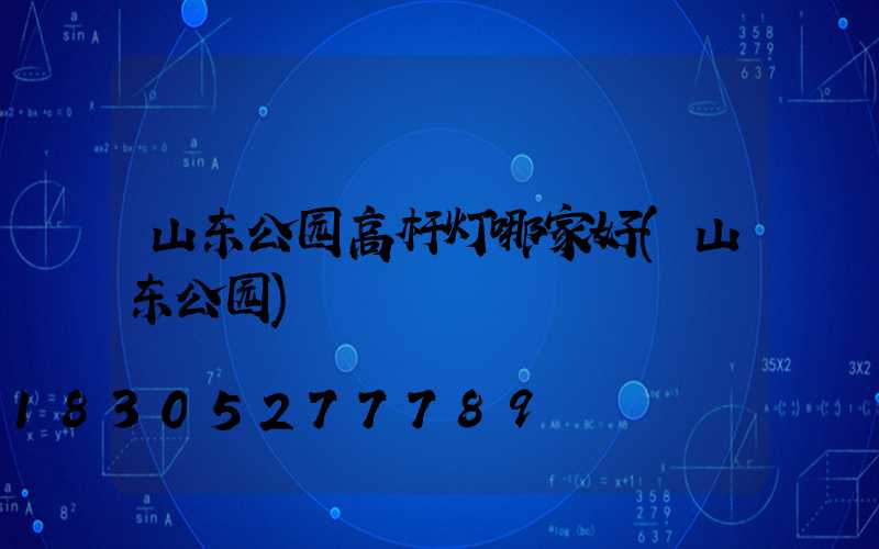山东公园高杆灯哪家好(山东公园)