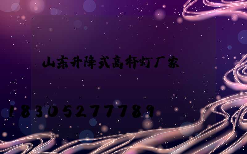 山东升降式高杆灯厂家