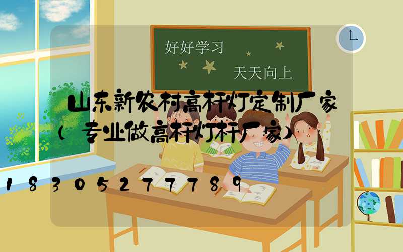山东新农村高杆灯定制厂家(专业做高杆灯杆厂家)