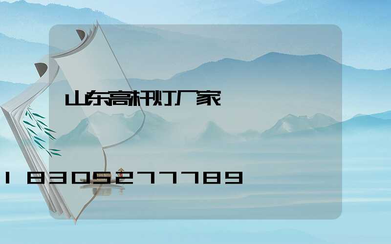 山东高杆灯厂家