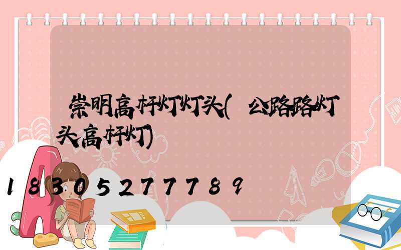 崇明高杆灯灯头(公路路灯头高杆灯)