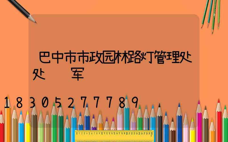 巴中市市政园林路灯管理处处长马军