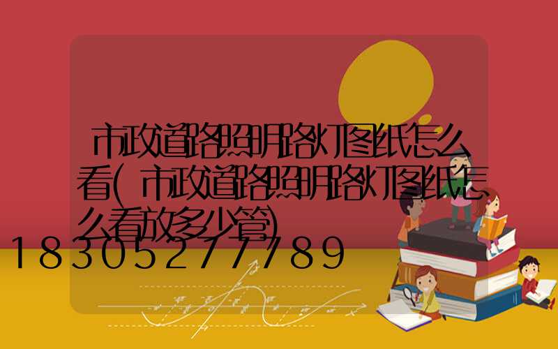 市政道路照明路灯图纸怎么看(市政道路照明路灯图纸怎么看放多少管)