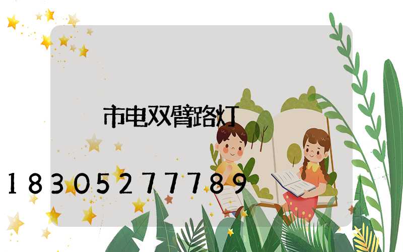 市电双臂路灯