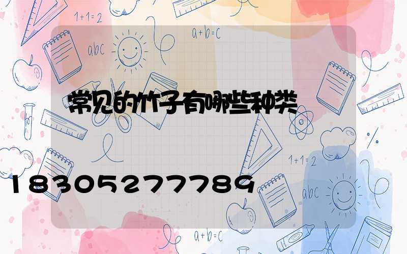 常见的竹子有哪些种类