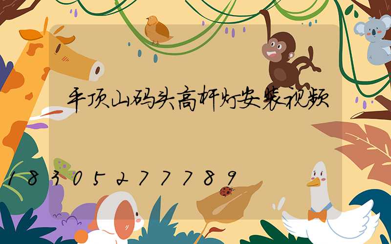平顶山码头高杆灯安装视频