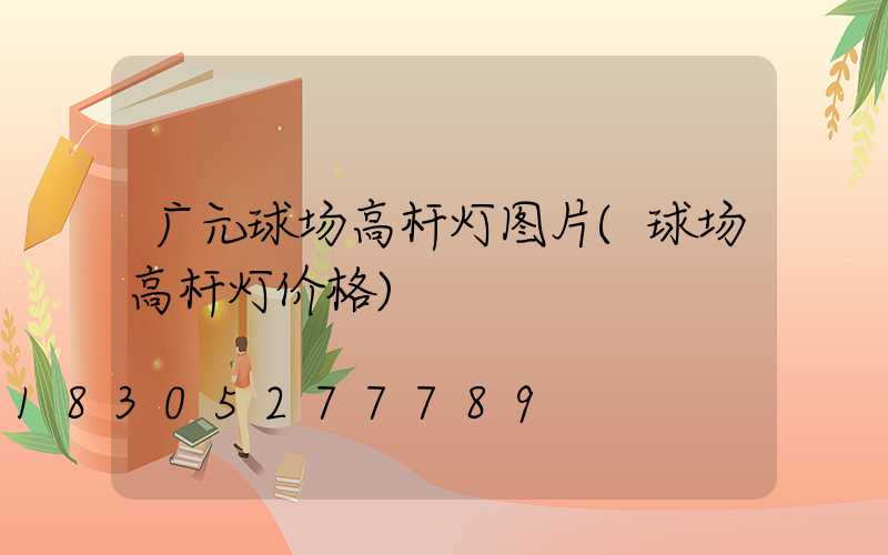 广元球场高杆灯图片(球场高杆灯价格)