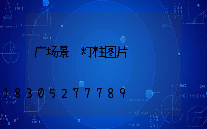 广场景观灯柱图片