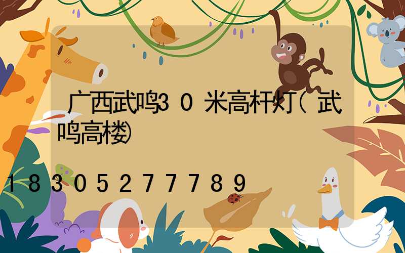 广西武鸣30米高杆灯(武鸣高楼)