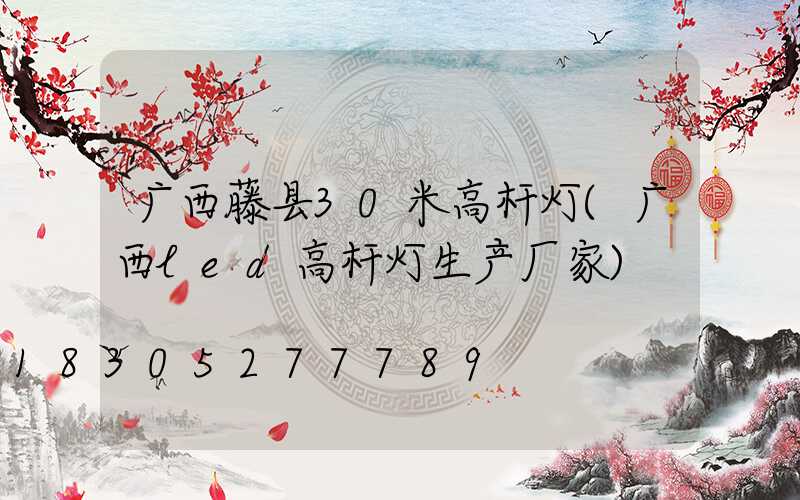 广西藤县30米高杆灯(广西led高杆灯生产厂家)