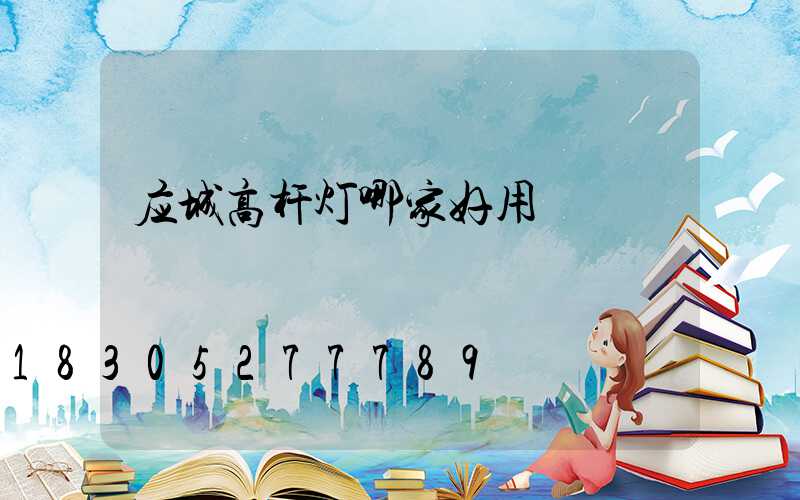 应城高杆灯哪家好用