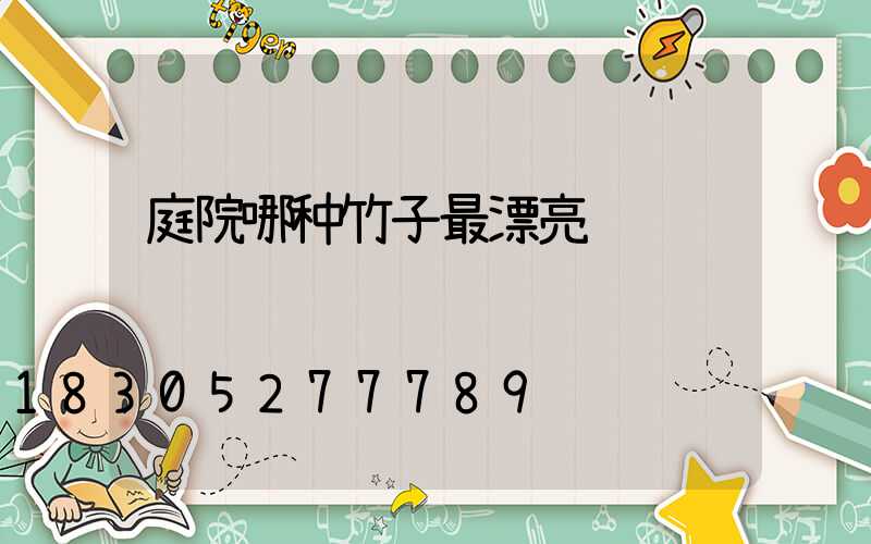 庭院哪种竹子最漂亮