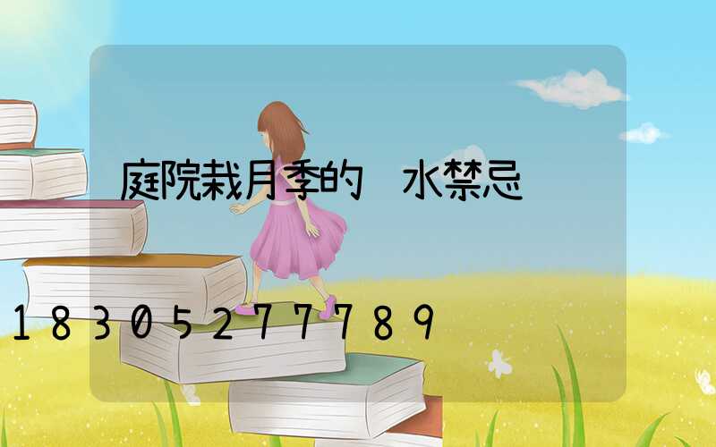 庭院栽月季的风水禁忌