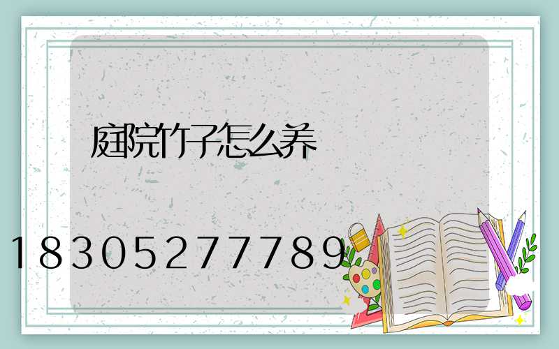 庭院竹子怎么养
