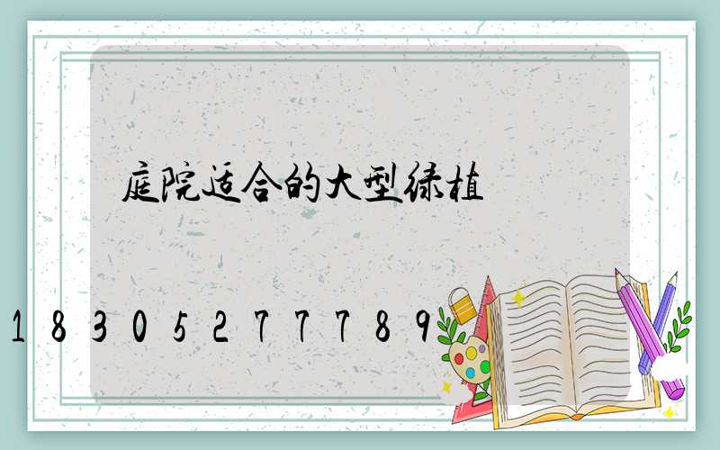 庭院适合的大型绿植