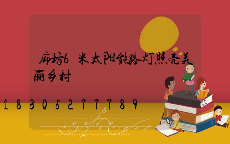 廊坊6米太阳能路灯照亮美丽乡村