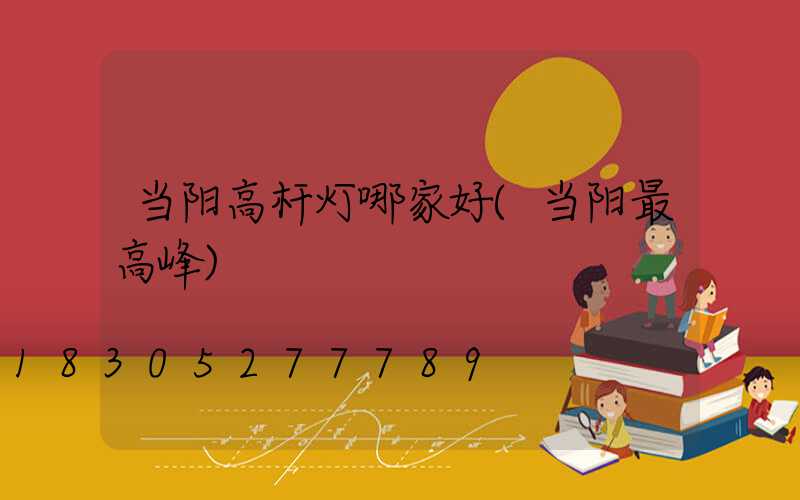 当阳高杆灯哪家好(当阳最高峰)