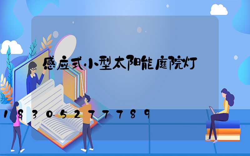 感应式小型太阳能庭院灯