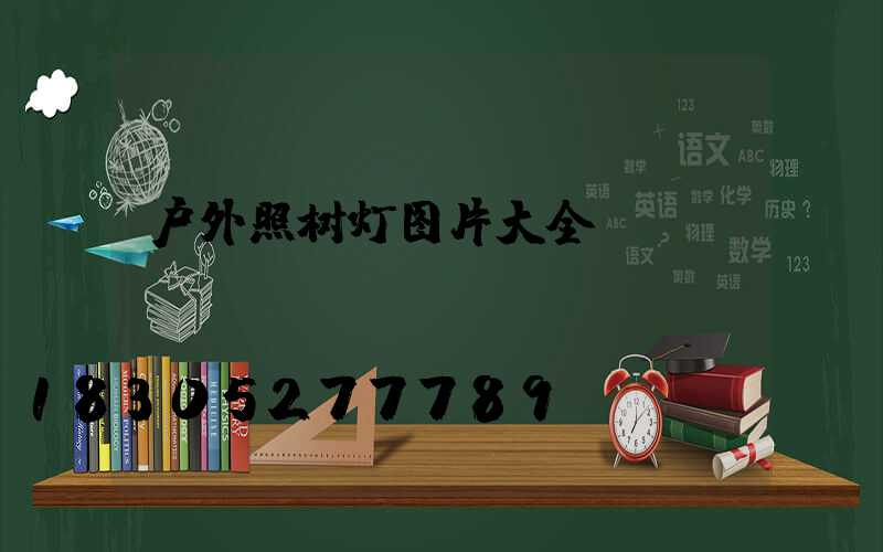户外照树灯图片大全
