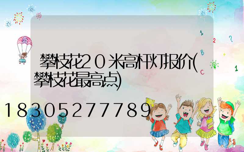 攀枝花20米高杆灯报价(攀枝花最高点)