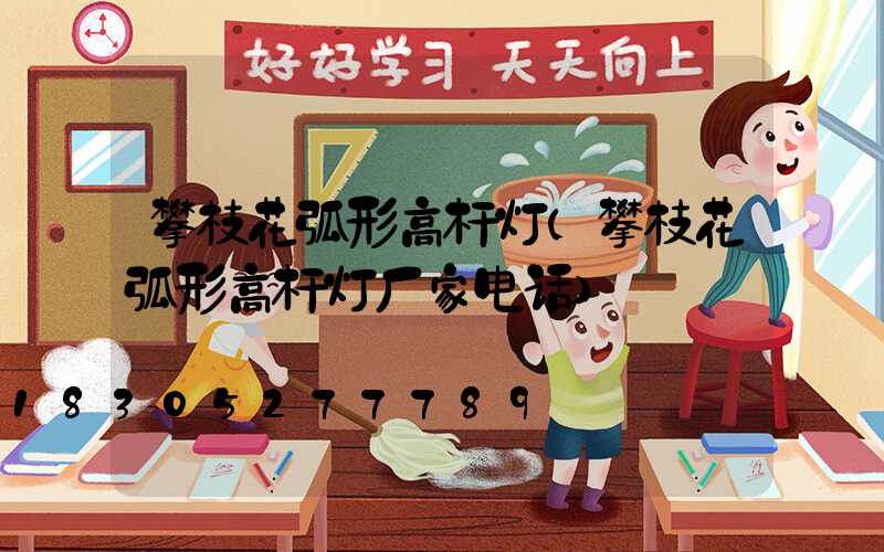 攀枝花弧形高杆灯(攀枝花弧形高杆灯厂家电话)