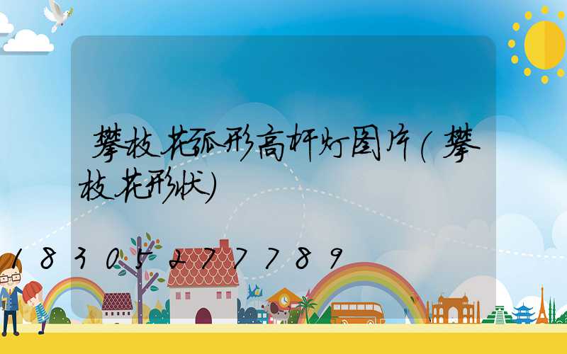 攀枝花弧形高杆灯图片(攀枝花形状)