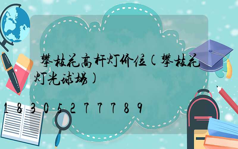 攀枝花高杆灯价位(攀枝花灯光球场)