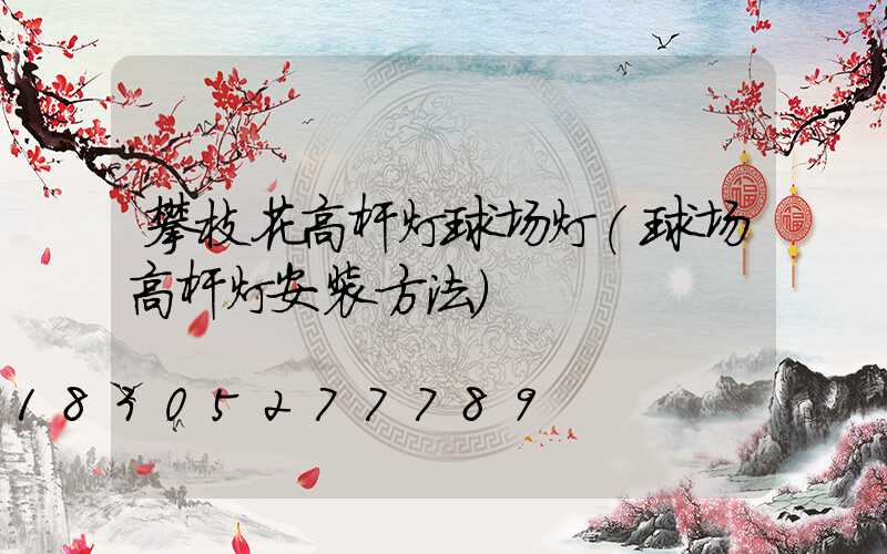 攀枝花高杆灯球场灯(球场高杆灯安装方法)