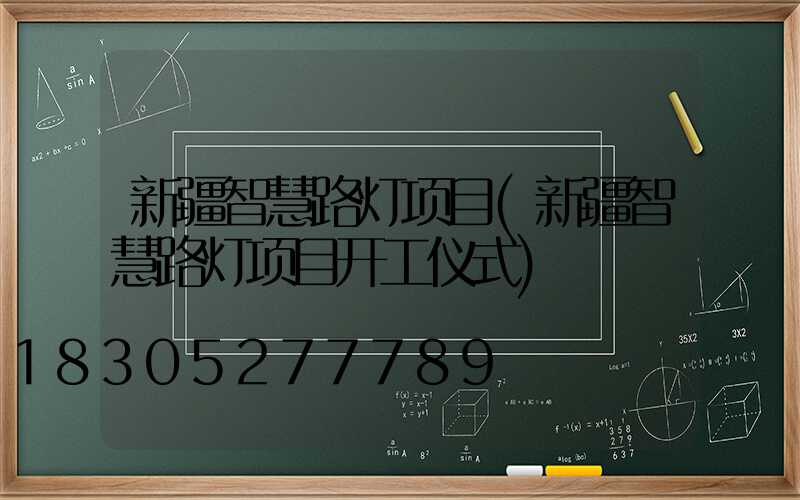 新疆智慧路灯项目(新疆智慧路灯项目开工仪式)