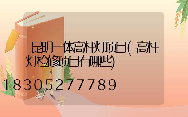 昆明一体高杆灯项目(高杆灯检修项目有哪些)