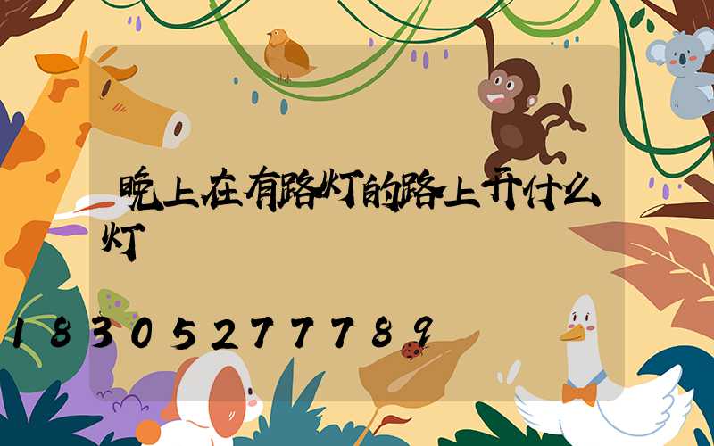 晚上在有路灯的路上开什么灯